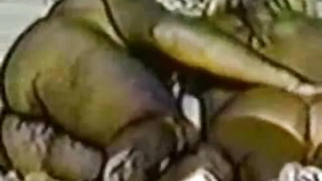 Natasha szexmasszázs videók Szép punci lenyeli a nagy felállított fekete dongot